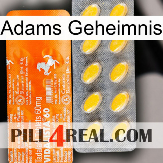 Adams Secret new05